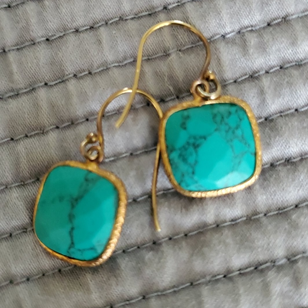 Argento vivo Earrings